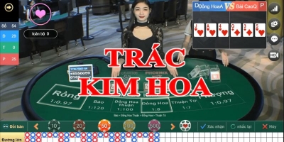 Cách chơi game bài Trác Kim Hoa cho người mới bắt đầu